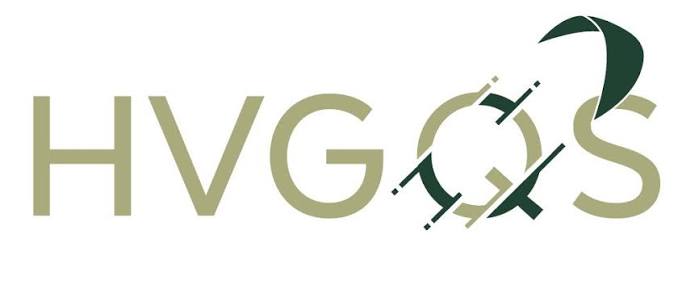 HVG QS logo